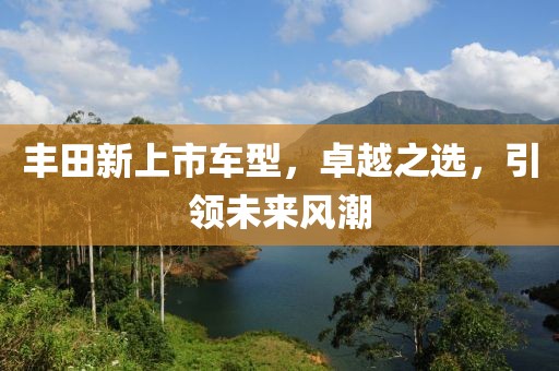 甜美领袖 第7页