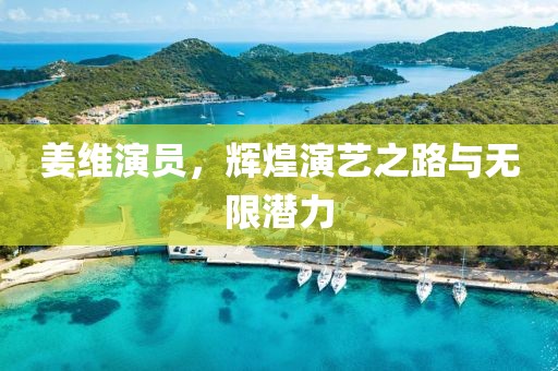 姜维演员，辉煌演艺之路与无限潜力