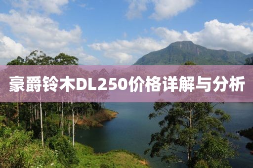 豪爵铃木DL250价格详解与分析
