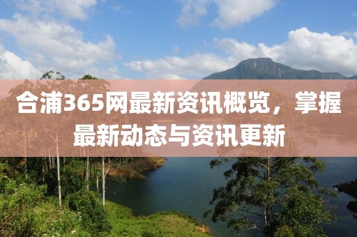合浦365网最新资讯概览，掌握最新动态与资讯更新