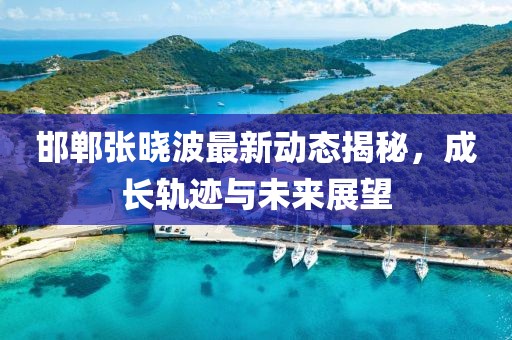 邯郸张晓波最新动态揭秘，成长轨迹与未来展望