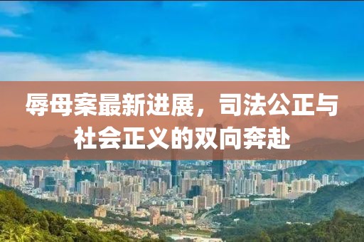 辱母案最新进展，司法公正与社会正义的双向奔赴