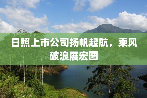日照上市公司扬帆起航，乘风破浪展宏图