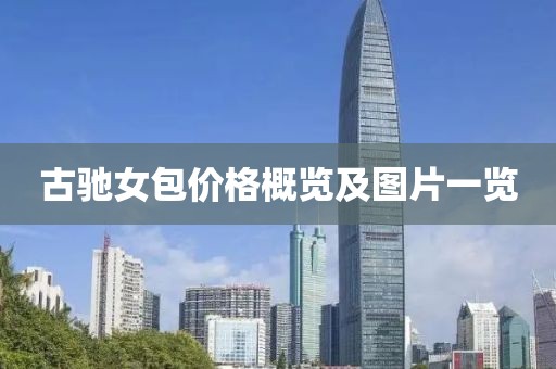 古驰女包价格概览及图片一览