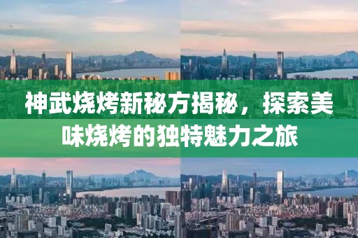 神武烧烤新秘方揭秘，探索美味烧烤的独特魅力之旅