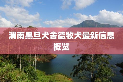 渭南黑旦犬舍德牧犬最新信息概览