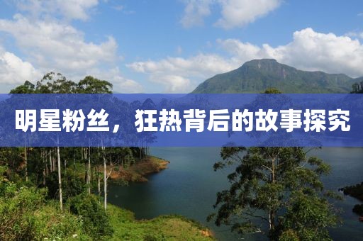 明星粉丝，狂热背后的故事探究