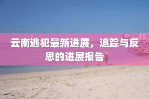 云南逃犯最新进展，追踪与反思的进展报告