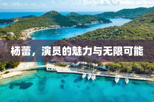 杨蕾，演员的魅力与无限可能