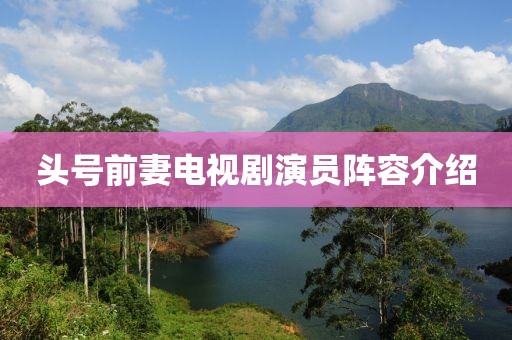 头号前妻电视剧演员阵容介绍
