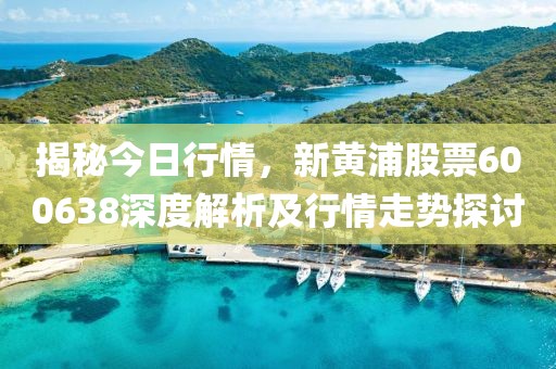 揭秘今日行情，新黄浦股票600638深度解析及行情走势探讨
