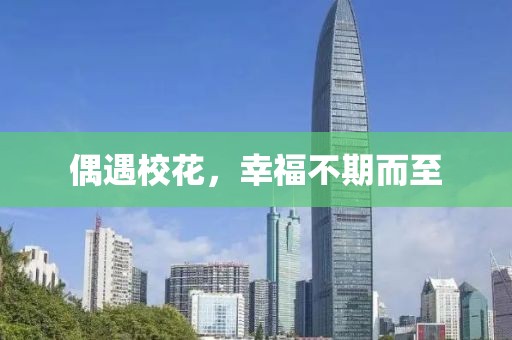 偶遇校花，幸福不期而至