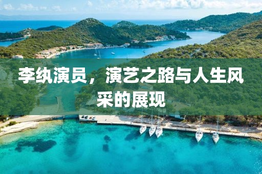 李纨演员，演艺之路与人生风采的展现