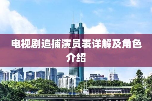 电视剧追捕演员表详解及角色介绍
