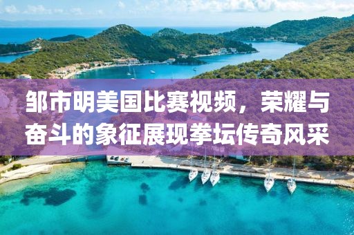 邹市明美国比赛视频，荣耀与奋斗的象征展现拳坛传奇风采