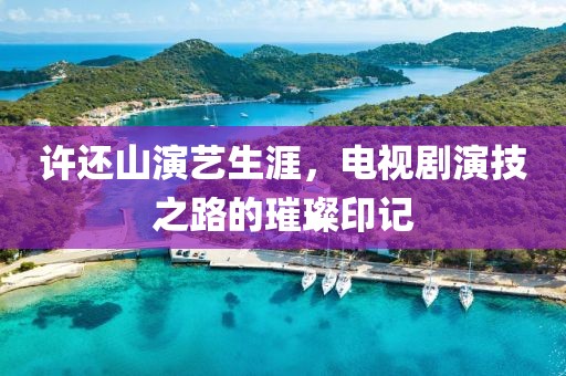 许还山演艺生涯，电视剧演技之路的璀璨印记