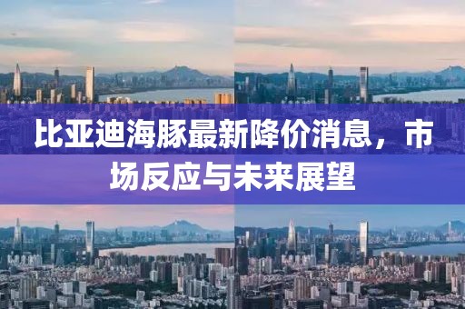 比亚迪海豚最新降价消息，市场反应与未来展望