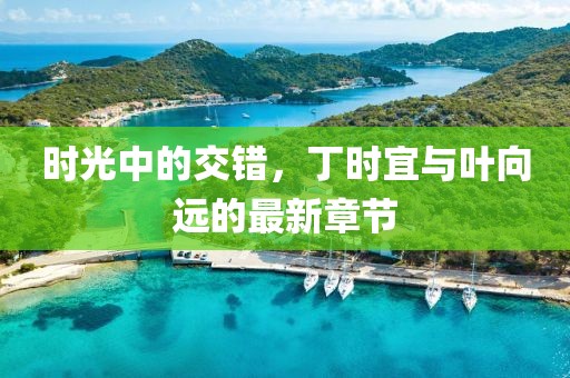 时光中的交错，丁时宜与叶向远的最新章节