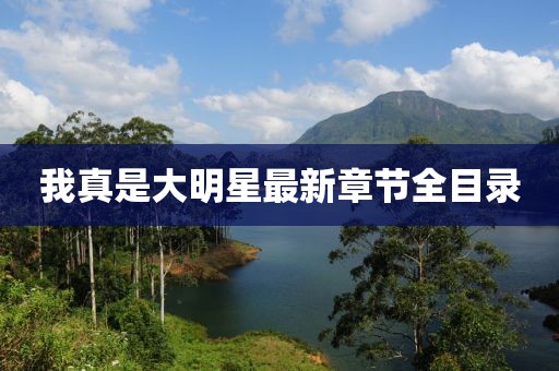 我真是大明星最新章节全目录