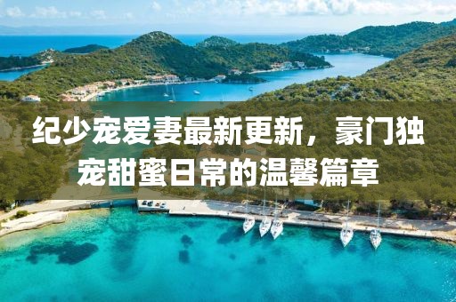 纪少宠爱妻最新更新，豪门独宠甜蜜日常的温馨篇章