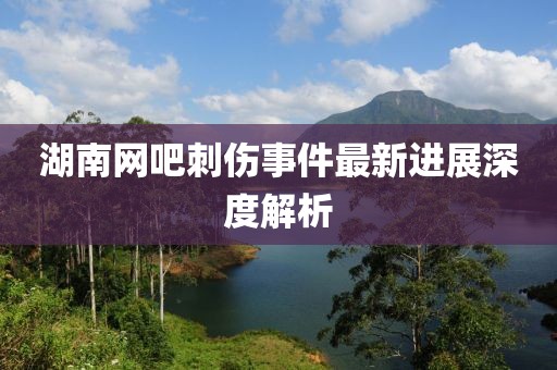 湖南网吧刺伤事件最新进展深度解析