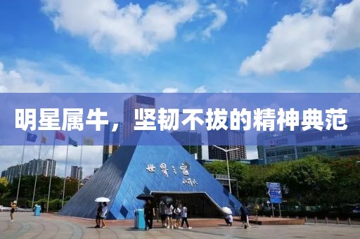 明星属牛，坚韧不拔的精神典范