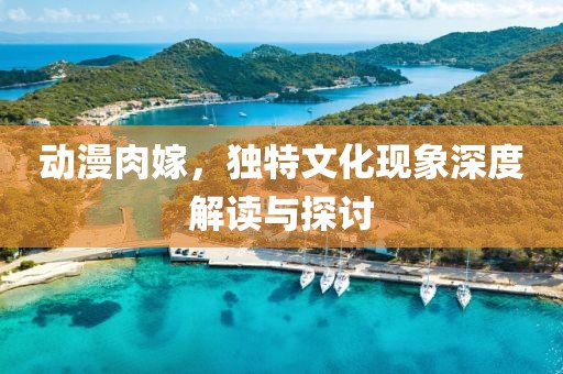 动漫肉嫁，独特文化现象深度解读与探讨