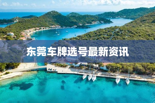 东莞车牌选号最新资讯