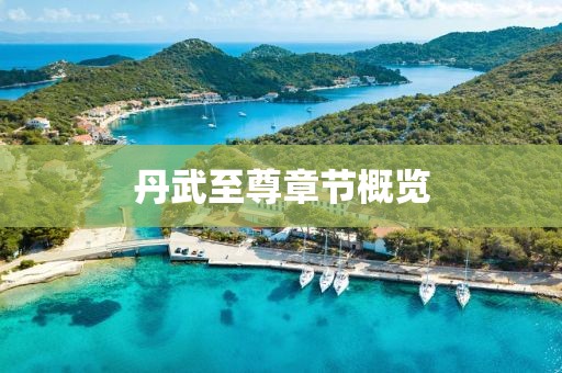 丹武至尊章节概览