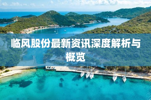 临风股份最新资讯深度解析与概览