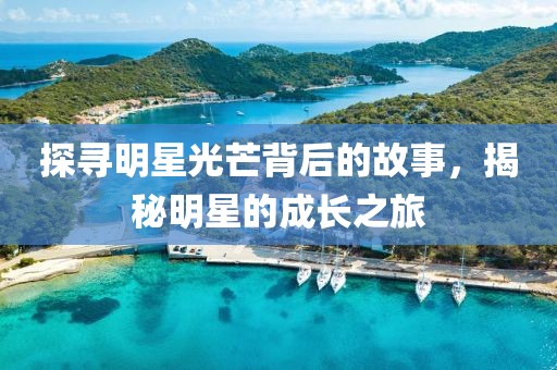 探寻明星光芒背后的故事，揭秘明星的成长之旅