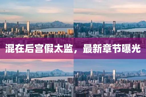 混在后宫假太监，最新章节曝光