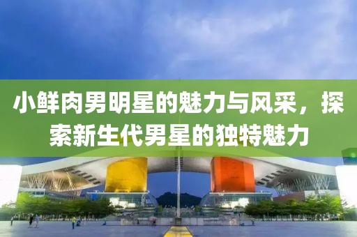 小鲜肉男明星的魅力与风采，探索新生代男星的独特魅力