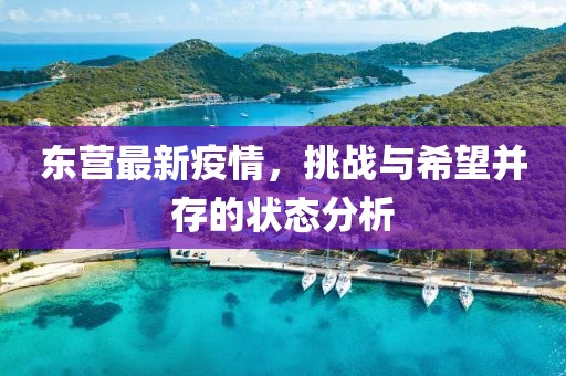 东营最新疫情，挑战与希望并存的状态分析