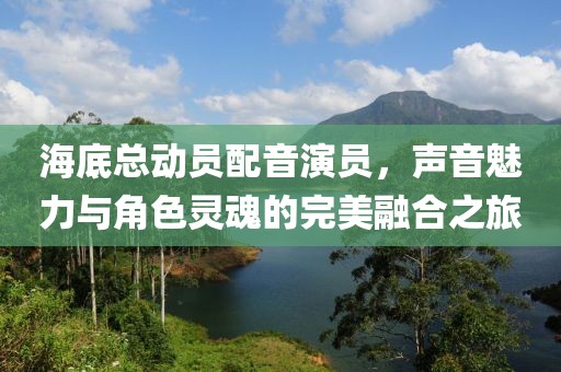 海底总动员配音演员，声音魅力与角色灵魂的完美融合之旅