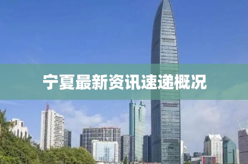 宁夏最新资讯速递概况