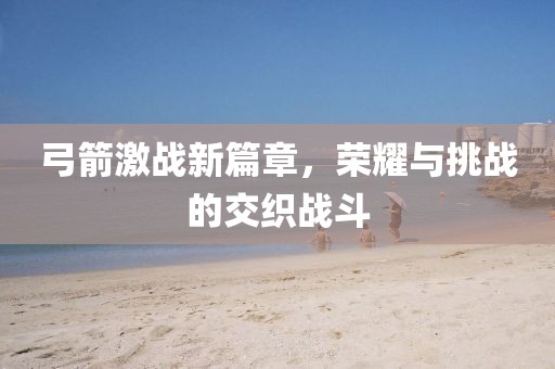 弓箭激战新篇章，荣耀与挑战的交织战斗