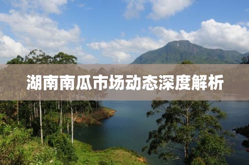 湖南南瓜市场动态深度解析