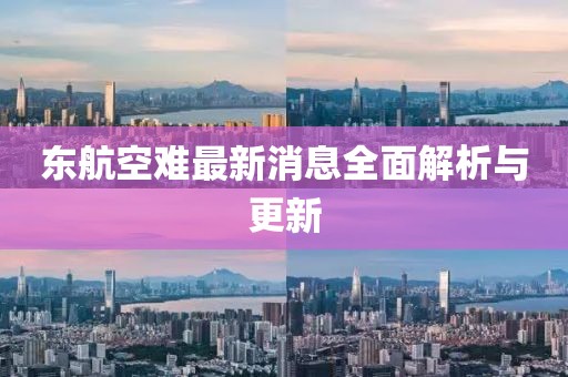东航空难最新消息全面解析与更新