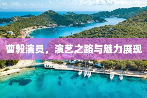 曹毅演员，演艺之路与魅力展现