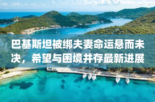 巴基斯坦被绑夫妻命运悬而未决，希望与困境并存最新进展