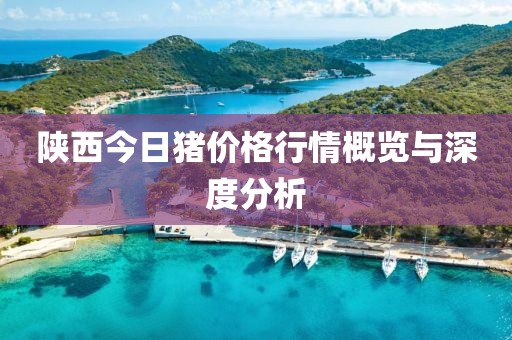 陕西今日猪价格行情概览与深度分析