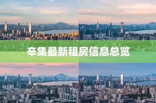 辛集最新租房信息总览