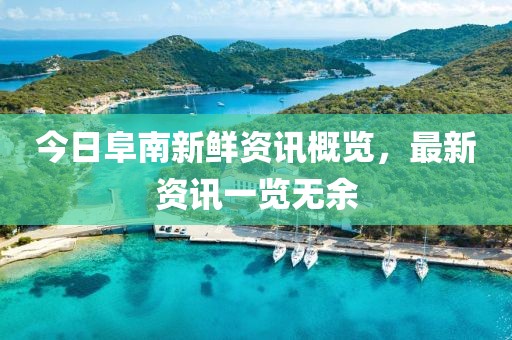 今日阜南新鲜资讯概览，最新资讯一览无余