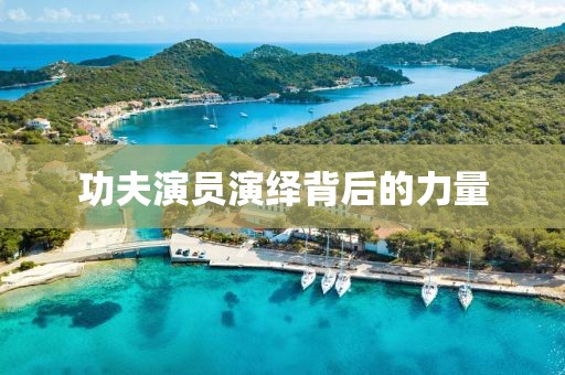 功夫演员演绎背后的力量