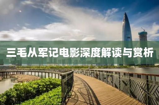 三毛从军记电影深度解读与赏析