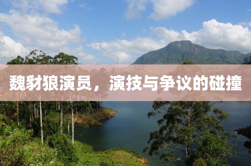 魏豺狼演员，演技与争议的碰撞