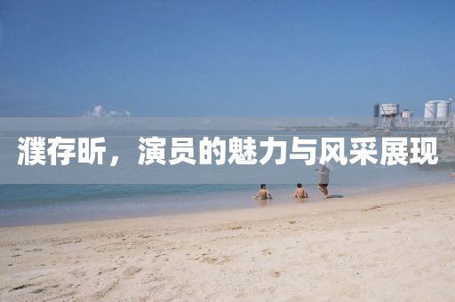 濮存昕，演员的魅力与风采展现