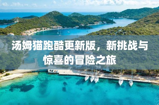 汤姆猫跑酷更新版，新挑战与惊喜的冒险之旅
