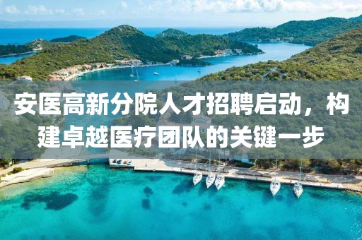 安医高新分院人才招聘启动，构建卓越医疗团队的关键一步